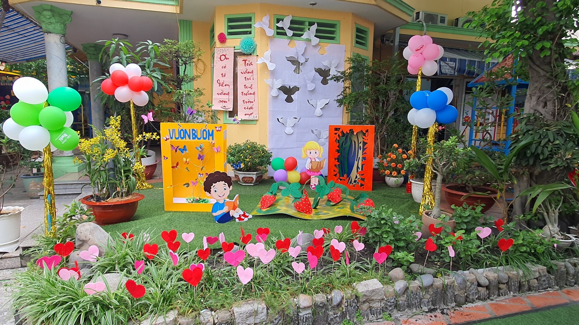 ƯƠM MẦM 20/11/2022