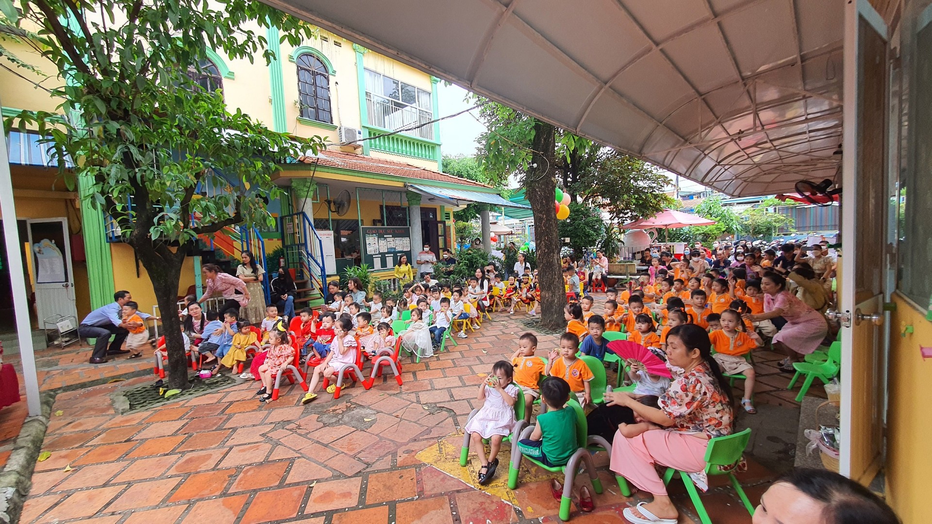 ƯƠM MẦM 20/11/2022