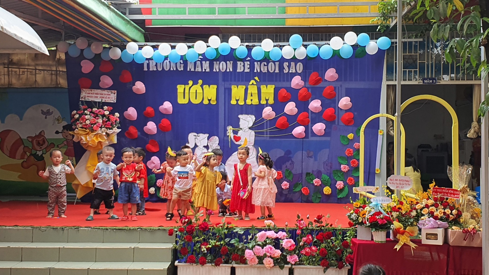 ƯƠM MẦM 20/11/2022