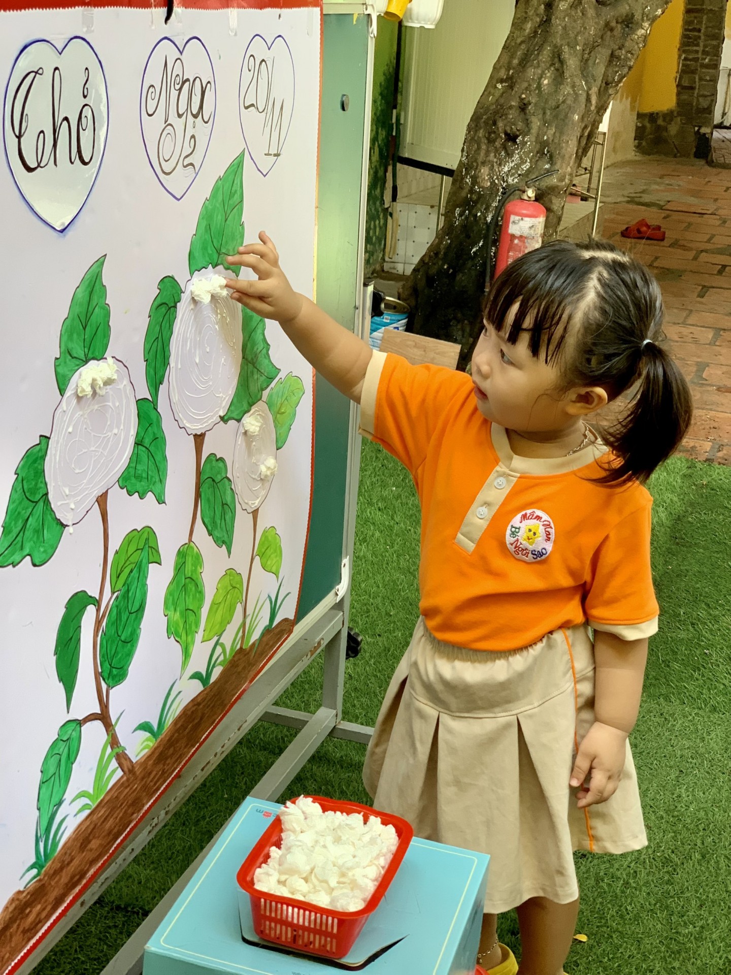 NGƯỜI GIEO MẦM XANH 20/11/2023