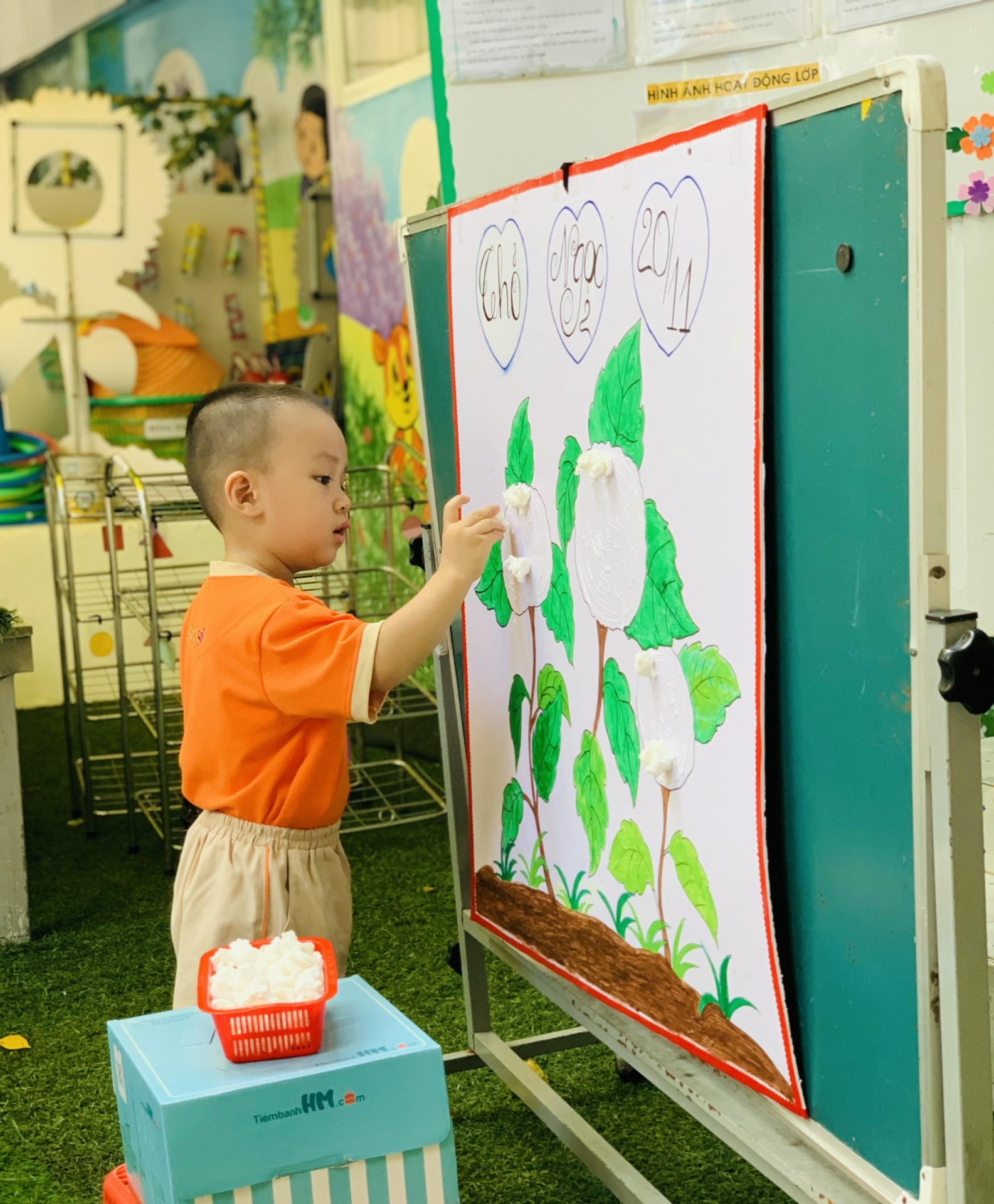 NGƯỜI GIEO MẦM XANH 20/11/2023