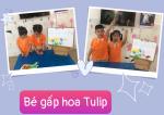 CHƯƠNG TRÌNH LỚP MẦM TUẦN 03 THÁNG 05 ( TỪ NGÀY 12/05 ĐẾN 16/05/2025)